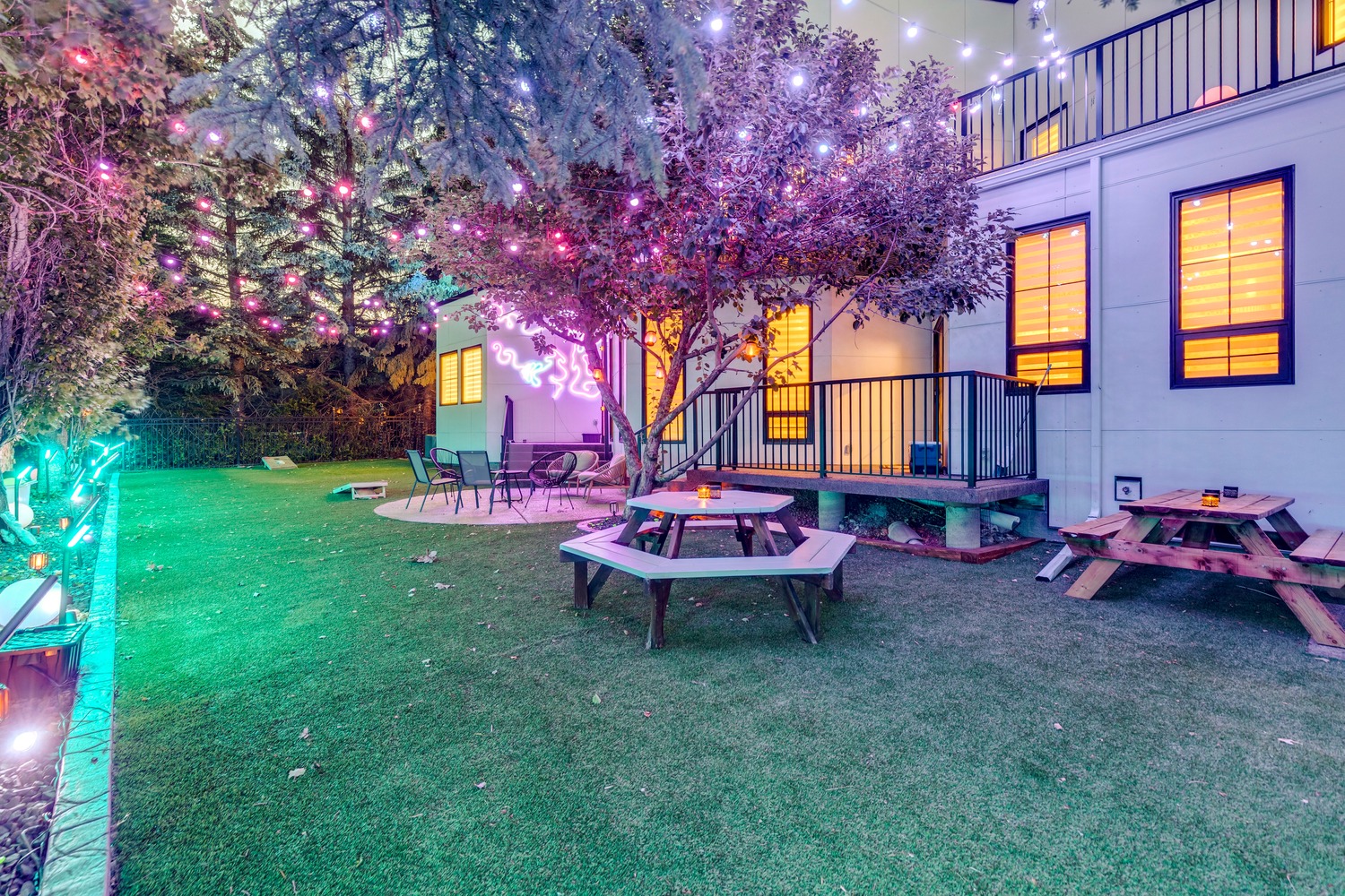 Backyard · Under the Canopy